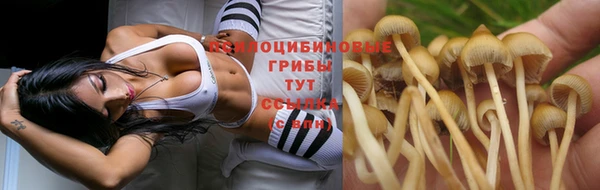 не бодяженный Богородицк