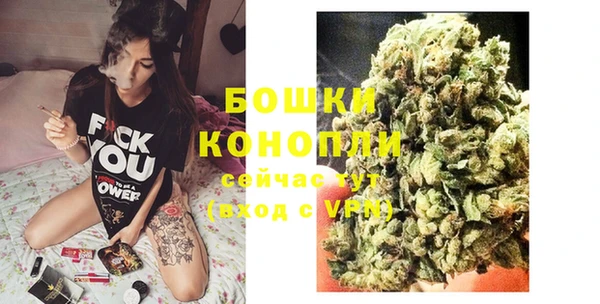 ГАЛЛЮЦИНОГЕННЫЕ ГРИБЫ Бородино